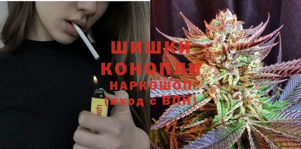 jwh Бородино