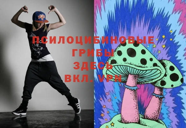 сатива Бугульма