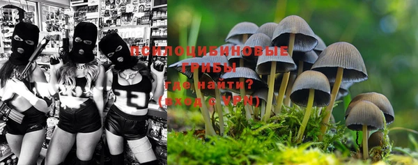jwh Бородино