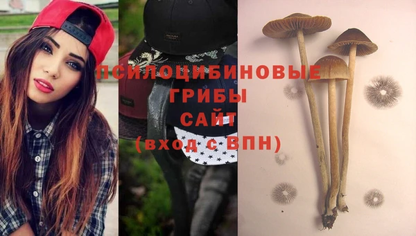 сатива Бугульма