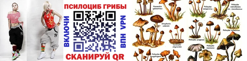 Псилоцибиновые грибы GOLDEN TEACHER  Гагарин 