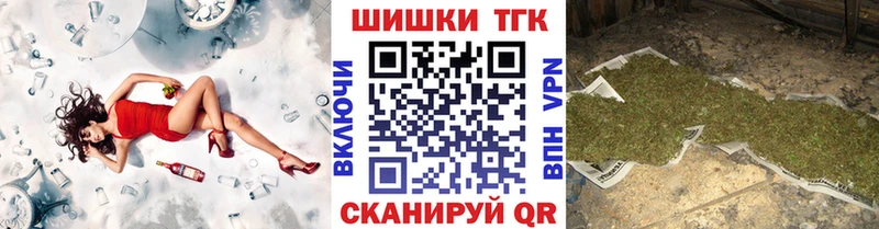 закладка  Гагарин  Бошки Шишки план 